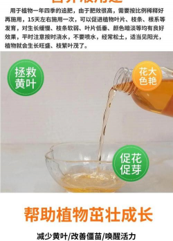 家庭养花用生根粉