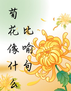 菊花像什么花