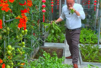 家庭养花用生根粉