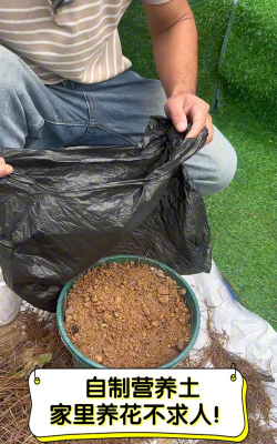 家庭养花用生根粉