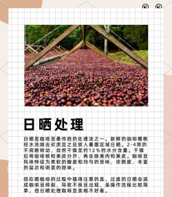 如何腐熟咖啡豆做花肥