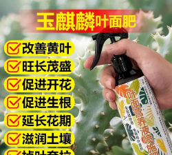 家庭养花用生根粉