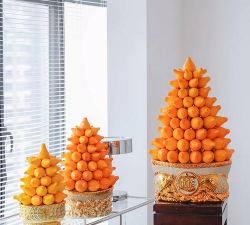 五指茄如何装盆景