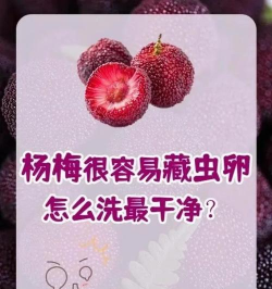 一杨梅怎么清洗