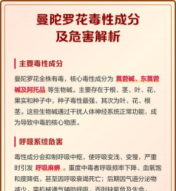 曼陀罗花含有什么成分