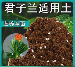 什么适合酸性土壤