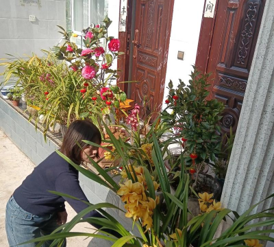 家庭养花用生根粉