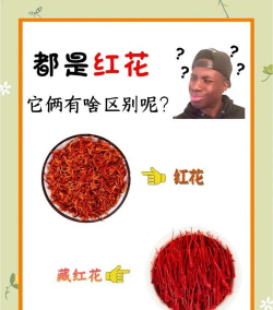 如何区别红花和番红花