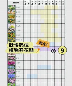 花期为什么叫花期