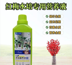 家庭养花用生根粉