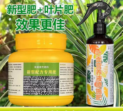 家庭养花用生根粉