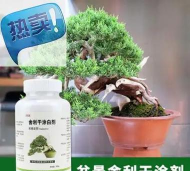 家庭养花用生根粉