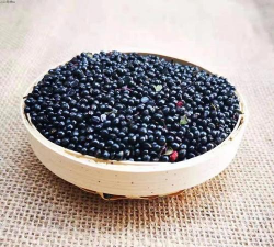 花椒子长什么样子