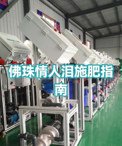 情人泪怎么施肥