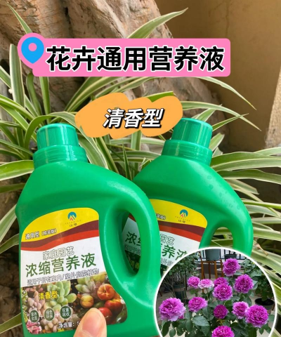 家庭养花用生根粉