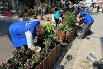 家庭养花用生根粉