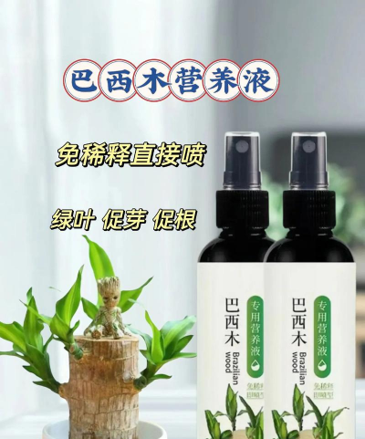 家庭养花用生根粉