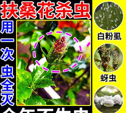 家庭养花用生根粉