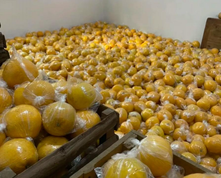 胡柚怎么存放最好