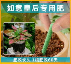 家庭养花用生根粉