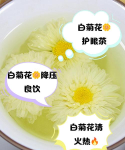 杭白菊花后如何处理
