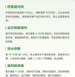 冬季怎么养护瑞香