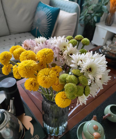 家庭养花用生根粉