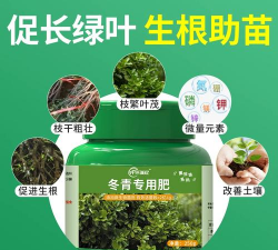 家庭养花用生根粉