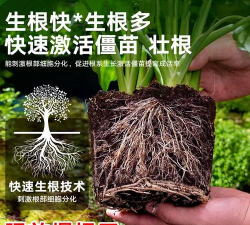 家庭养花用生根粉