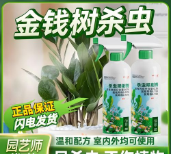 家庭养花用生根粉