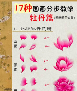 白牡丹如何变红牡丹花