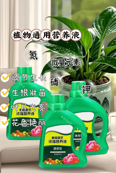 家庭养花用生根粉