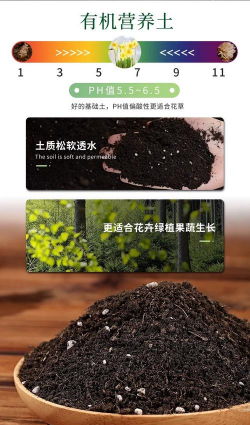 家庭养花用生根粉