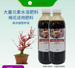 家庭养花用生根粉