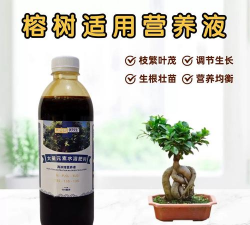 家庭养花用生根粉