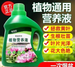 家庭养花用生根粉