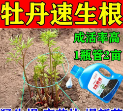 移栽牡丹用什么肥料