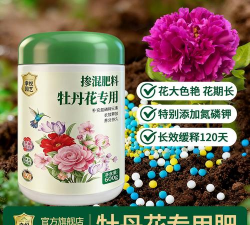 家庭养花用生根粉