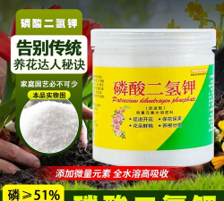 家庭养花用生根粉