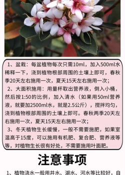 家庭养花用生根粉