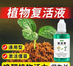 家庭养花用生根粉