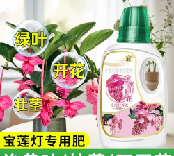 家庭养花用生根粉