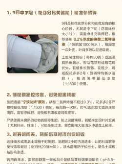 家庭养花用生根粉