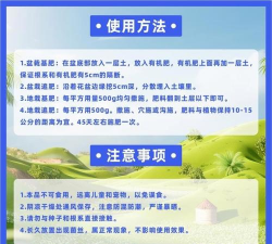 家庭养花用生根粉