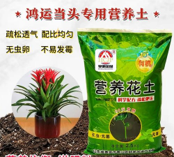 家庭养花用生根粉