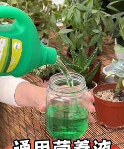 家庭养花用生根粉