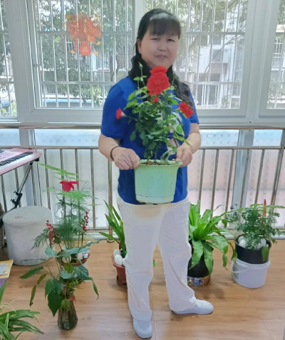 家庭养花用生根粉