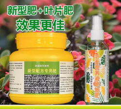 家庭养花用生根粉