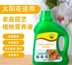 家庭养花用生根粉