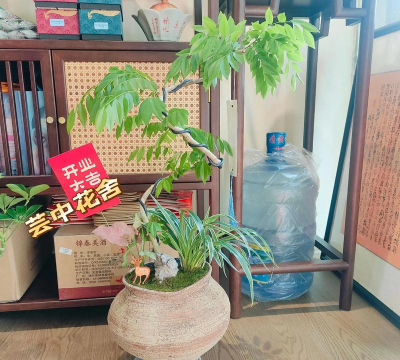 家庭养花用生根粉